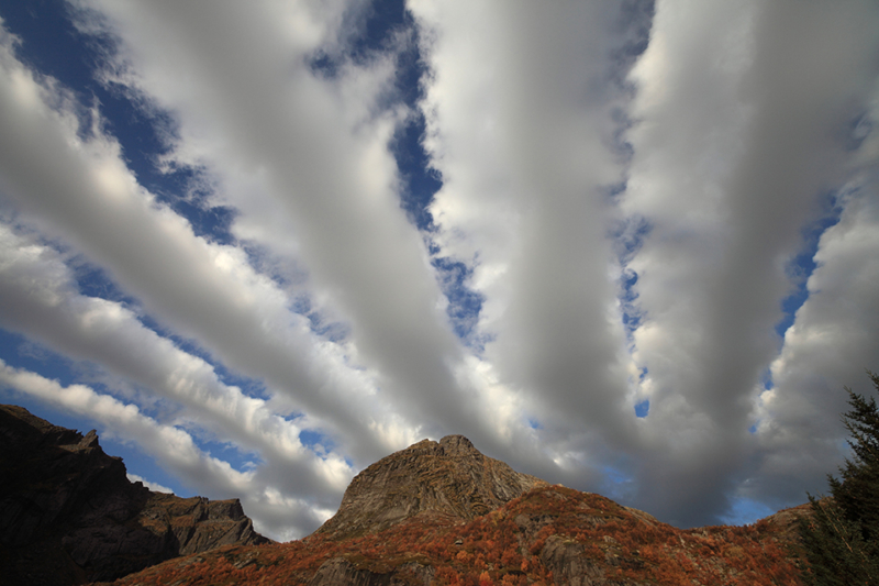 Cloud / Sky