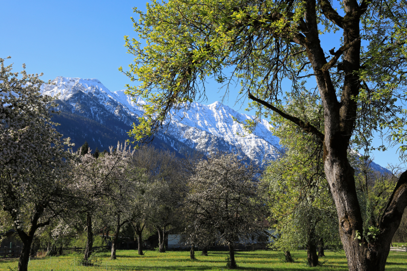 Kochel / Upper Bavaria