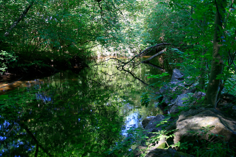 Kochel / Upper Bavaria