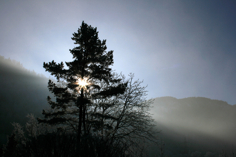 Kochel / Upper Bavaria