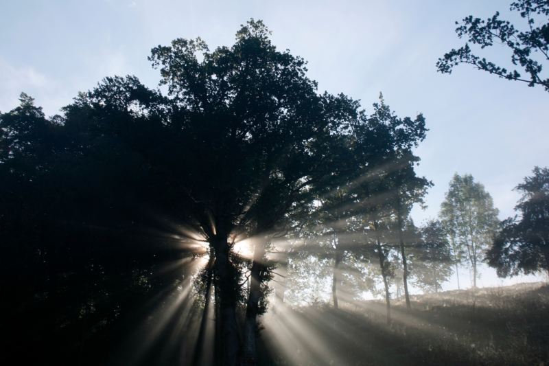 Kochel / Upper Bavaria