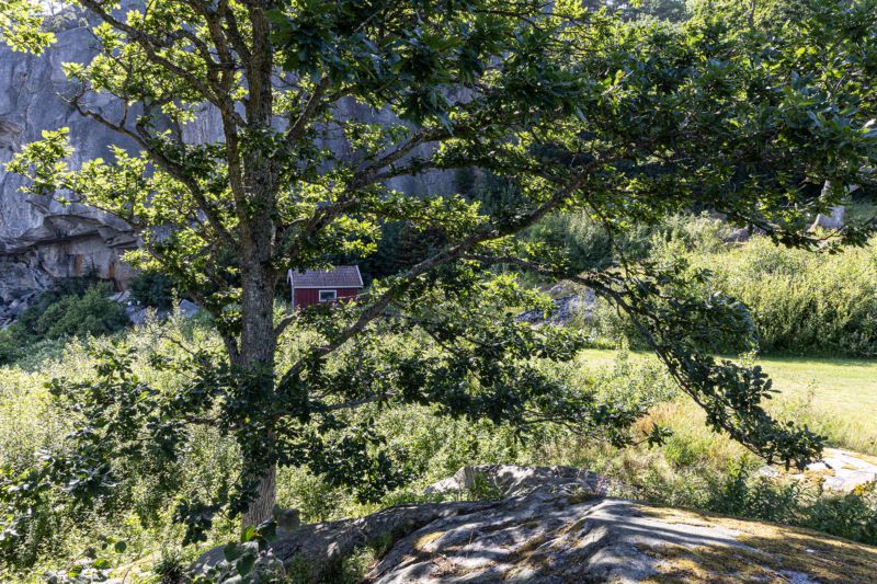 Dalsland / Bohuslän