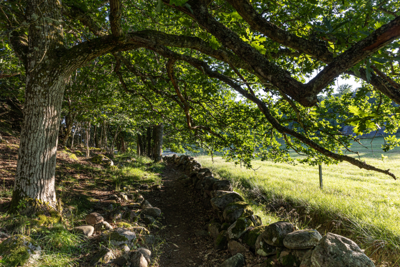 Dalsland / Bohuslän