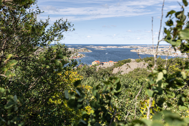 Dalsland / Bohuslän