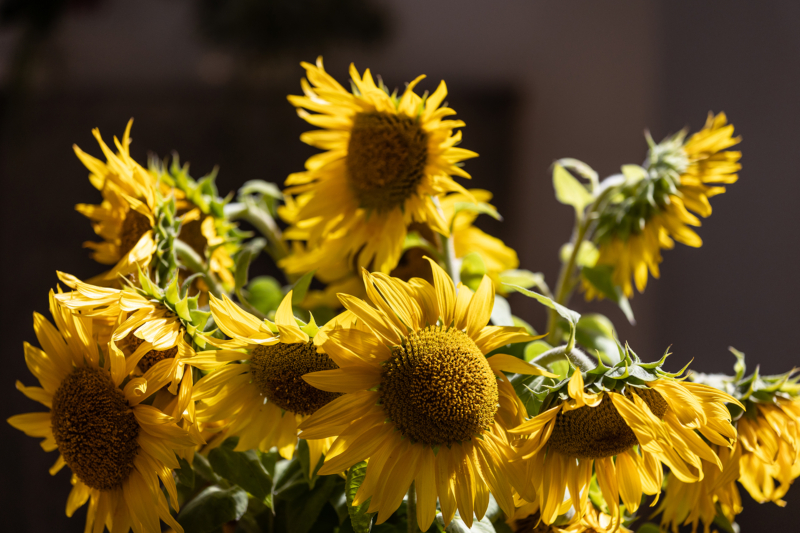 Simon-Judas-Kirche 20