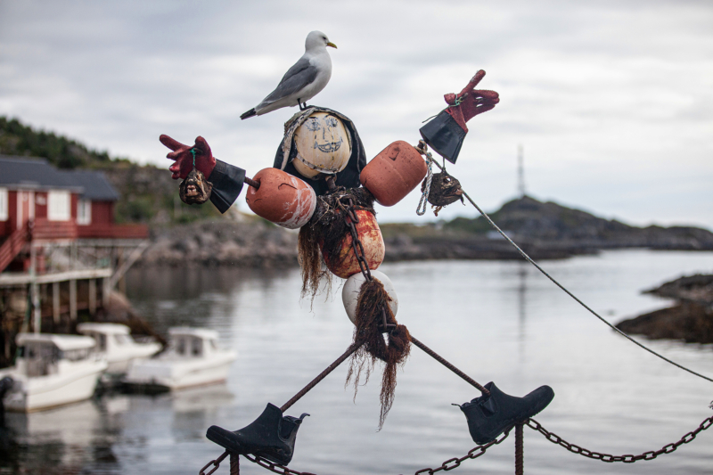 Street Art / Festival