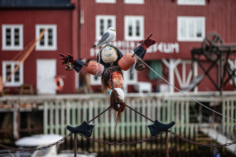 Street Art / Festival