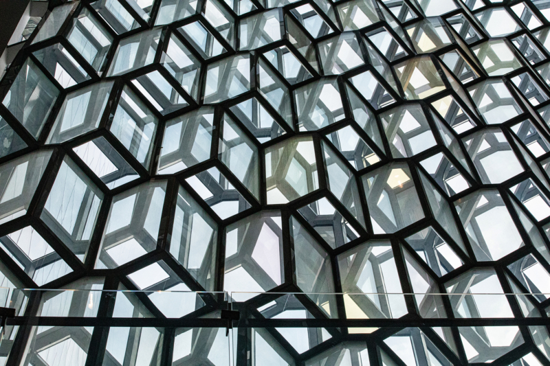 Harpa (10)
