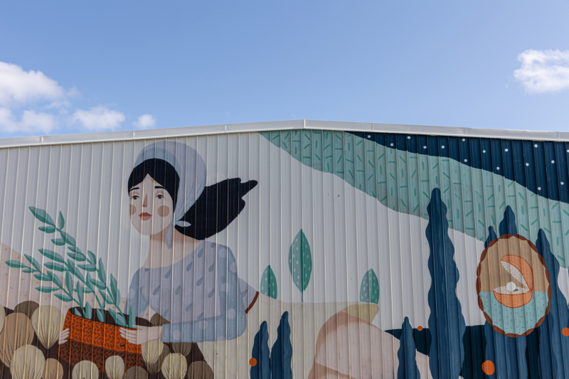 Street Art / Festival