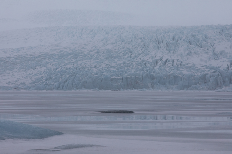 Glacier Lagoon