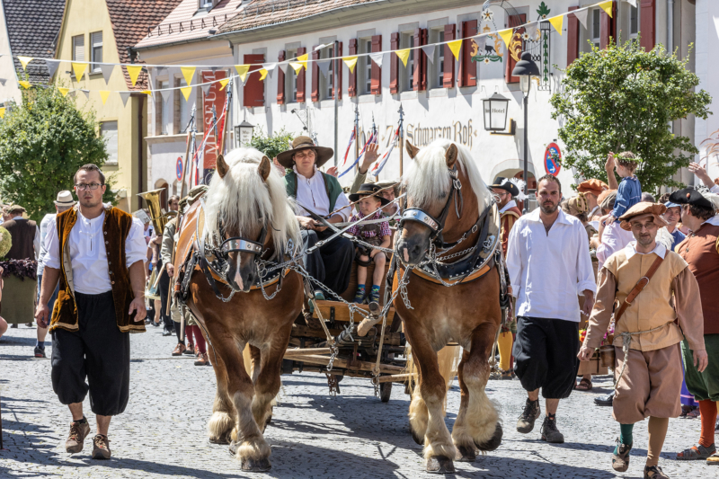 Burgfest Hilpoltstein (10)
