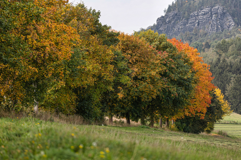 Sächsische Schweiz (20)