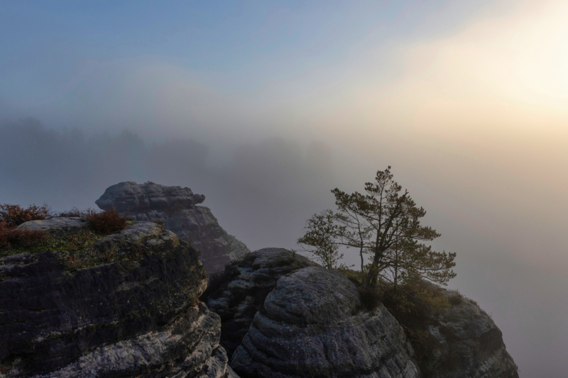 Sächsische Schweiz (23)