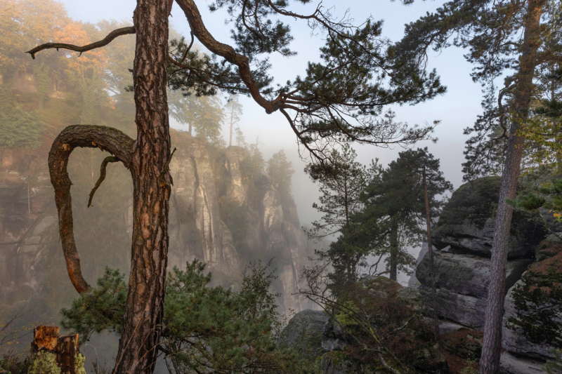 Sächsische Schweiz (25)