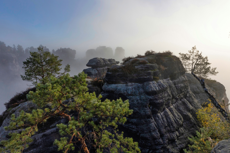 Sächsische Schweiz (31)