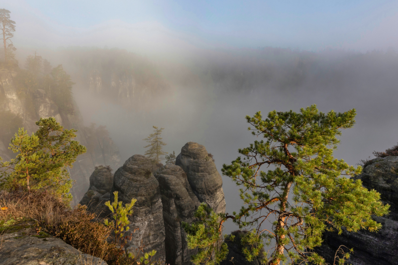 Sächsische Schweiz (32)