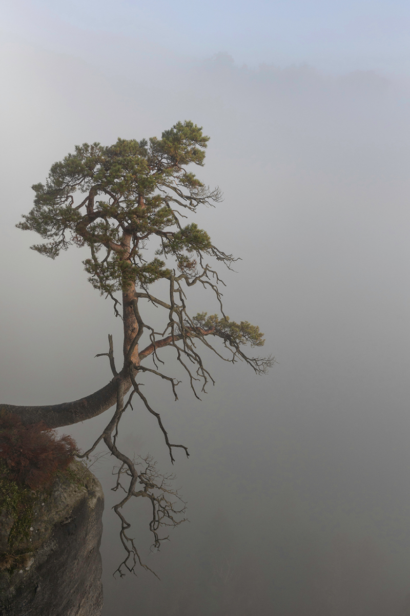 Sächsische Schweiz (33)