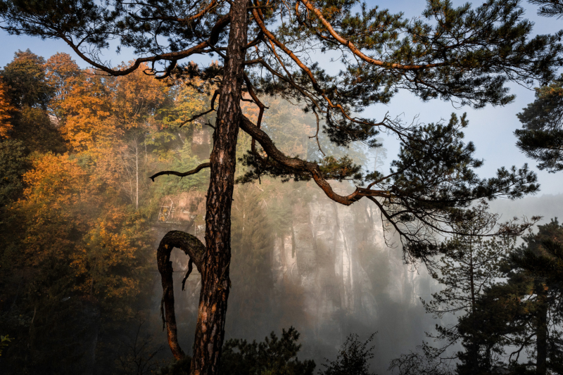 Sächsische Schweiz (38)