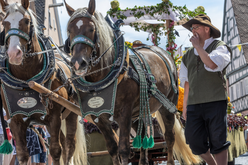 Burgfest Hilpoltstein (38)
