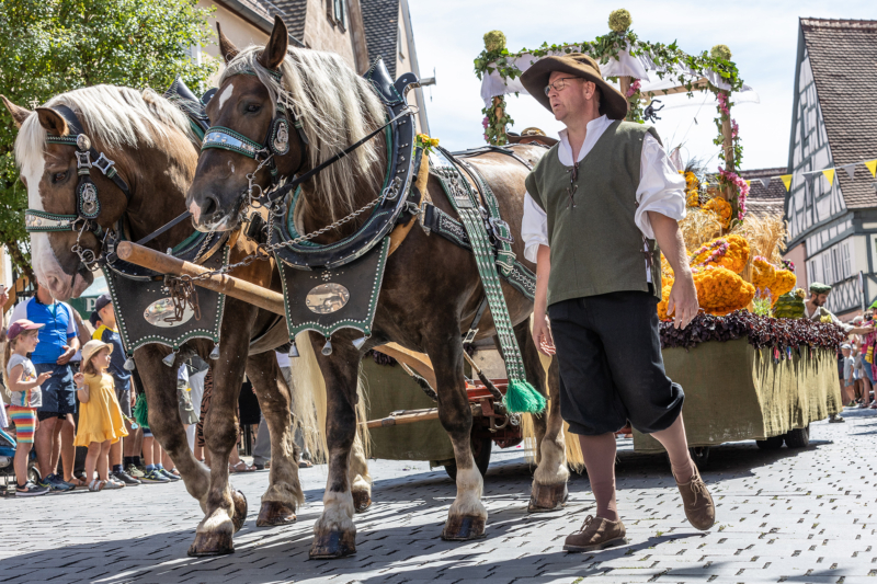 Burgfest Hilpoltstein (39)