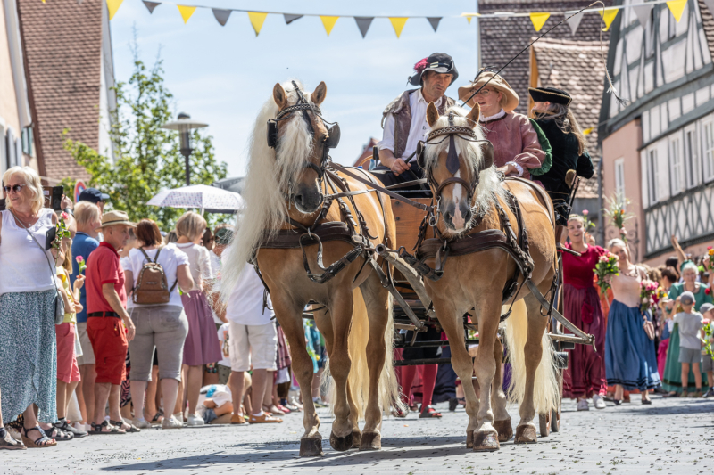 Burgfest Hilpoltstein (41)
