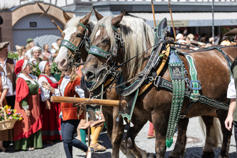 Burgfest Hilpoltstein (4)