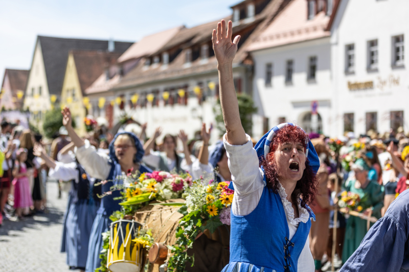 Burgfest Hilpoltstein (6)