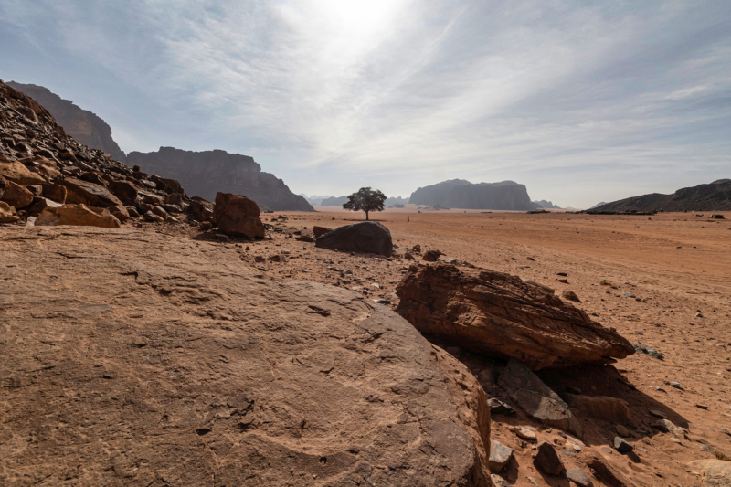 Wadi Rum (25)