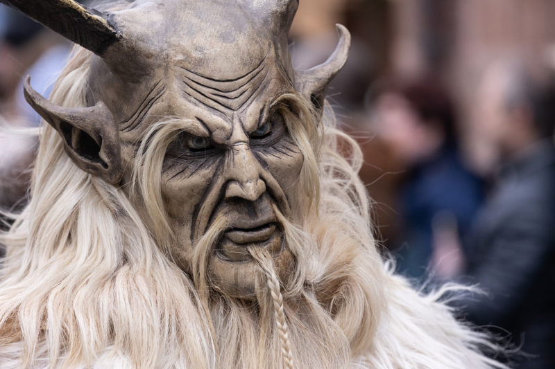 Brauchtumsumzug (11)