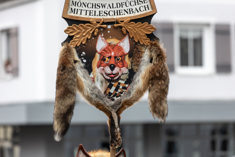 Brauchtumsumzug (13)