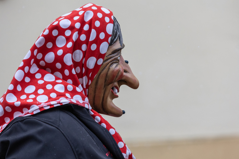 Brauchtumsumzug (14)