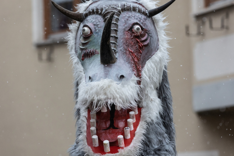 Brauchtumsumzug (17)