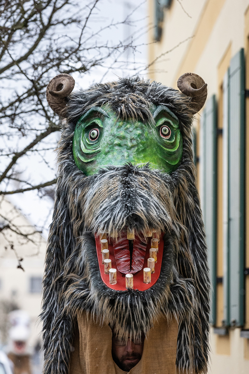 Brauchtumsumzug (18)