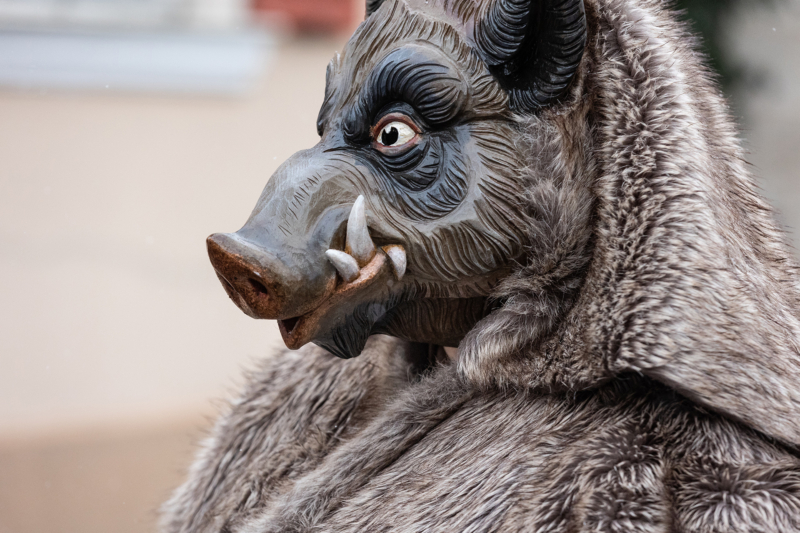 Brauchtumsumzug (30)