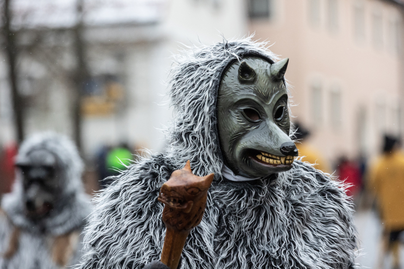 Brauchtumsumzug (46)