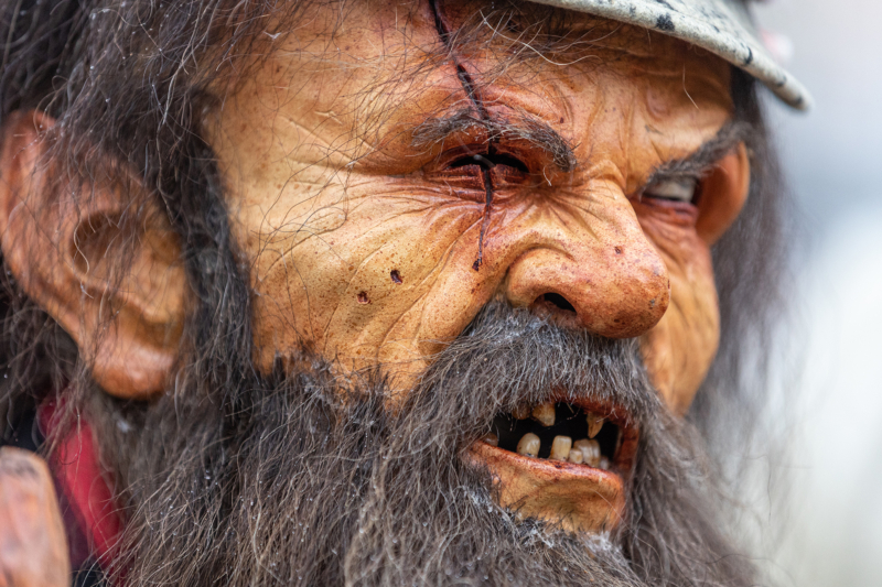 Brauchtumsumzug (60)