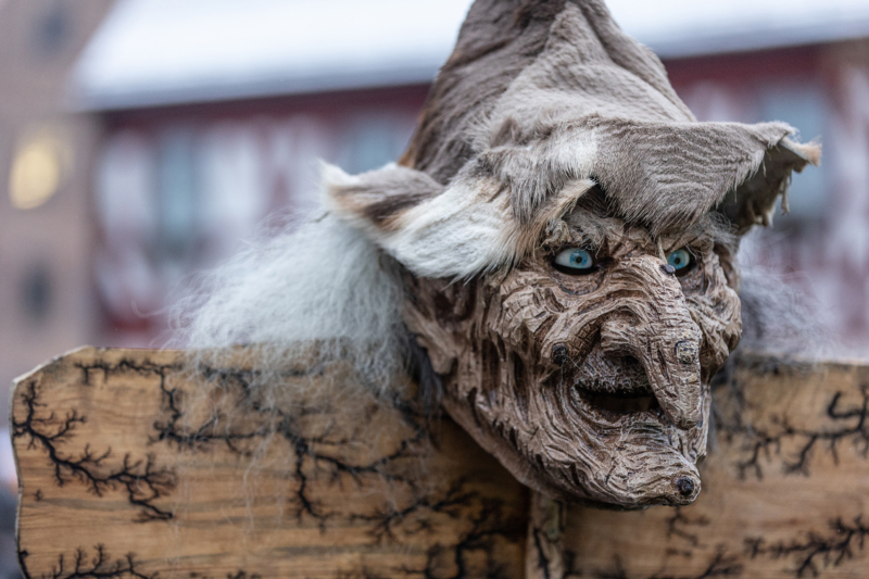 Brauchtumsumzug (63)