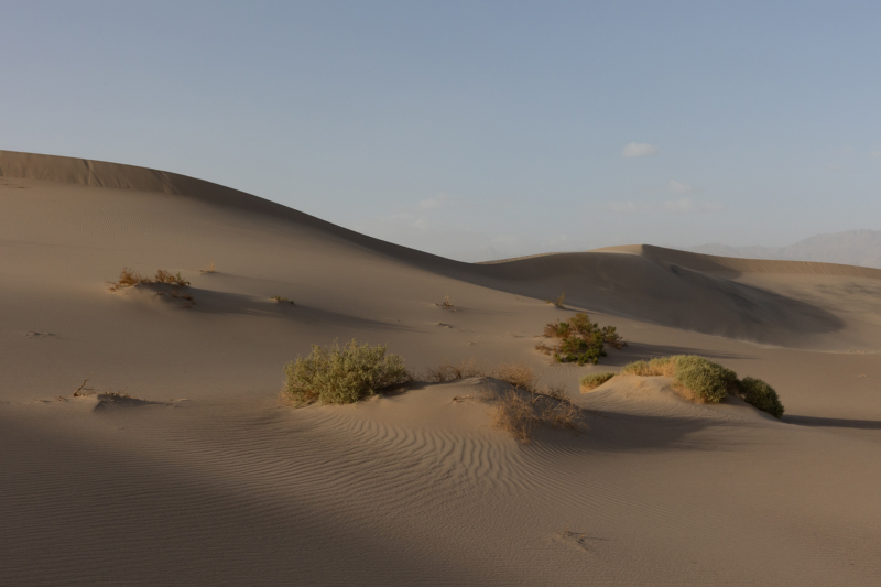 Mesquite Flat Sand Dunes