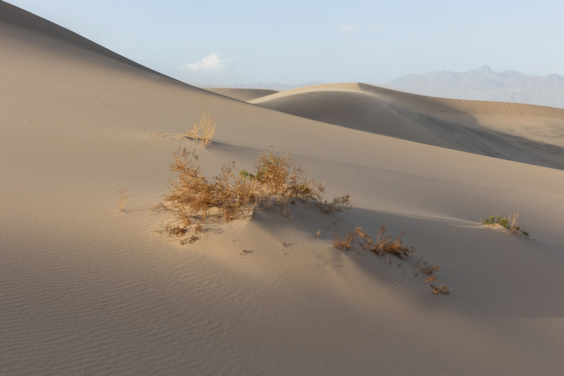 Mesquite Flat Sand Dunes