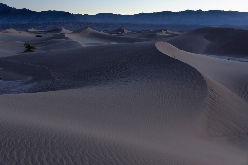 Mesquite Flat Sand Dunes