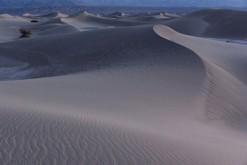 Mesquite Flat Sand Dunes