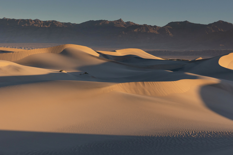 Mesquite Flat Sand Dunes