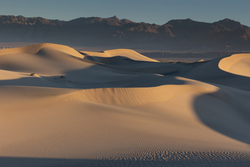 Mesquite Flat Sand Dunes