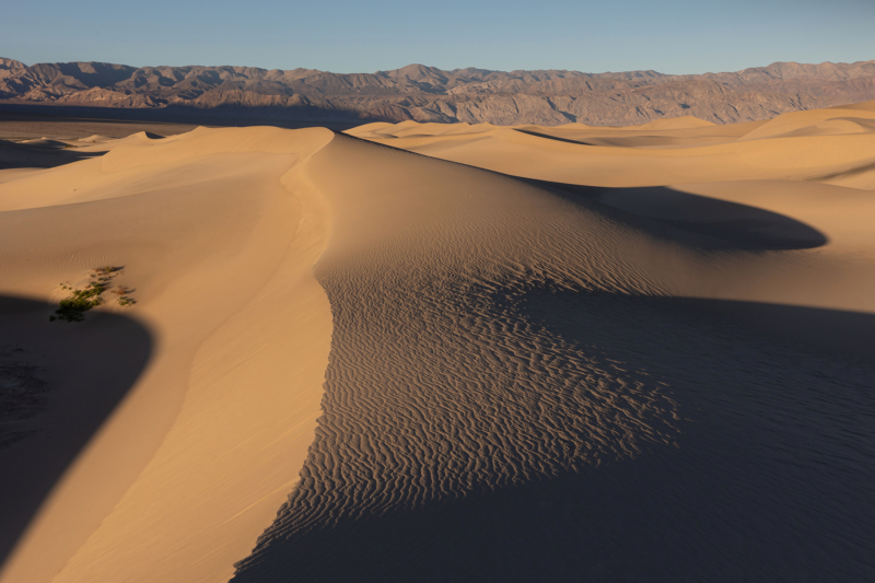 Mesquite Flat Sand Dunes