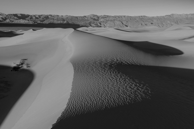 Mesquite Flat Sand Dunes