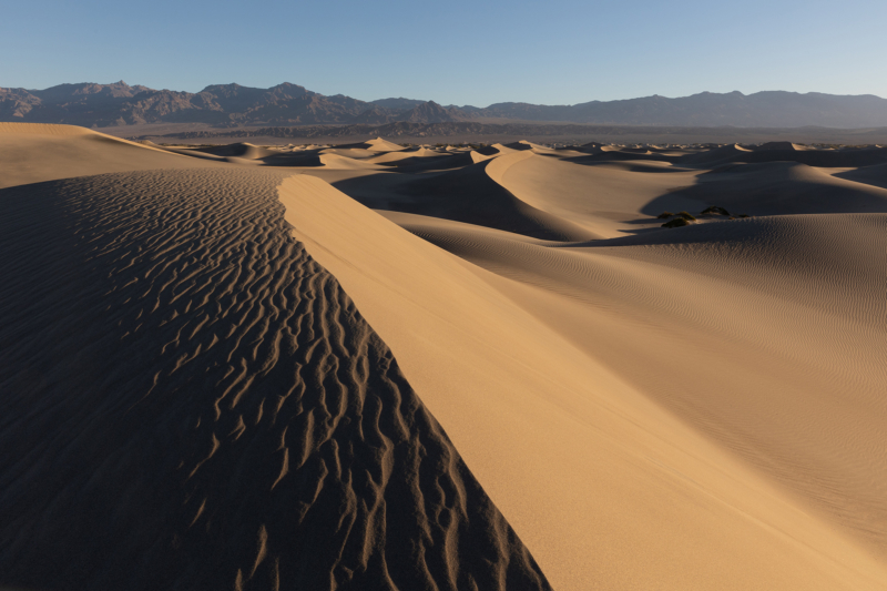 Mesquite Flat Sand Dunes