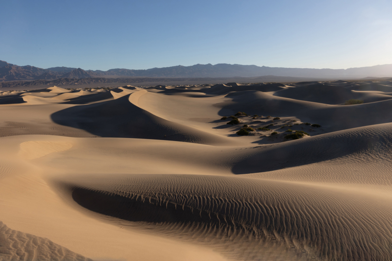 Mesquite Flat Sand Dunes