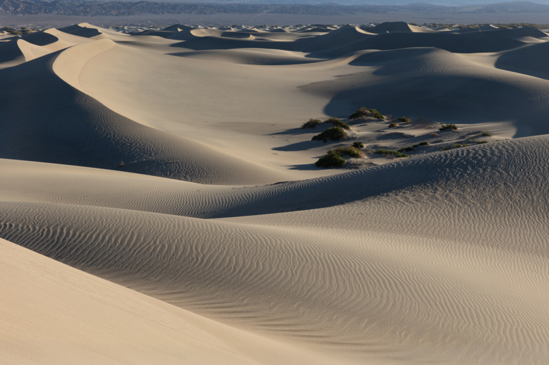 Mesquite Flat Sand Dunes