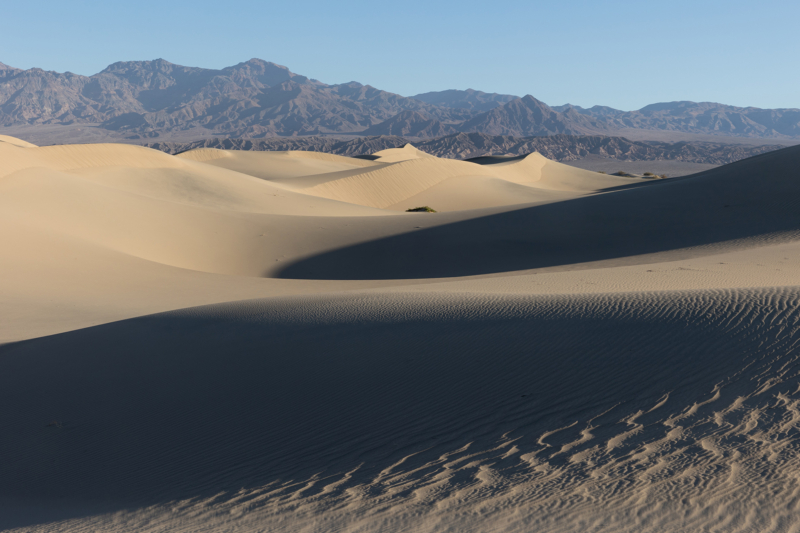 Mesquite Flat Sand Dunes