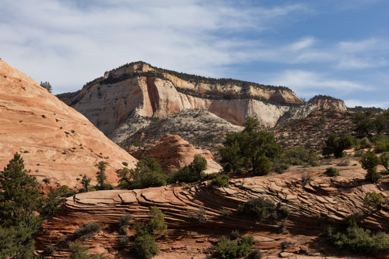Zion National Park